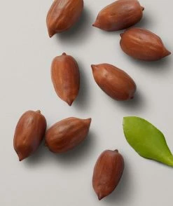 Kerasilk Multi-Benefit Hair Oil 50ml 10 Kerasilk Multi-Benefit Hair Oil 50ml -Shu Uemura Art Of Hair-butikk f261e976 aa29 4787 b427 a39c014259d2 5